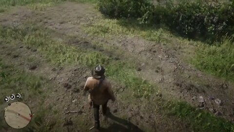 Red Dead Redemption 2 - What Just Hit Me?