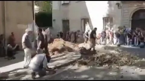 French onion farmers dump manure and bricks at the local government