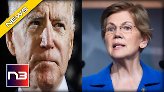 OOPS! Elizabeth Warren Accidentally Says the Quiet Part Out Loud about Dems SECRET Agenda