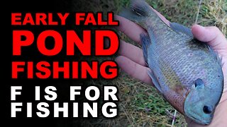 Early Fall Pond Fishing