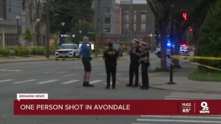 Police: Man found shot in Avondale