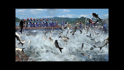 Amazing Fishing Fast Skill, Catching Big Fish on The Sea