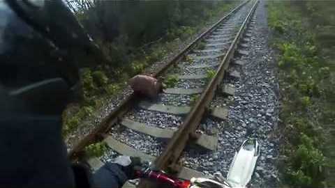 Viral Video UK: Biker finds abandoned dog tied up in sack