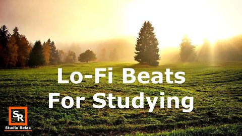 Study Focus #4 Relaxing Lo Fi Beats for Studying or Working from Home