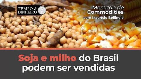 Soja e milho do Brasil podem ser vendidas, excepcionalmente, junto com a entrada da safra americana