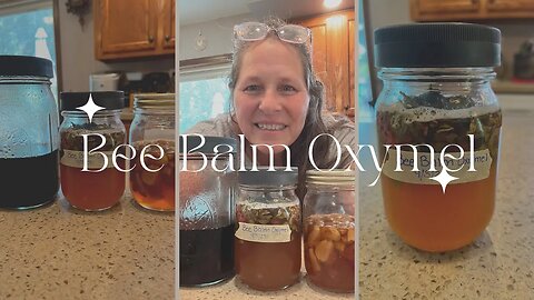 Making a Bee Balm Oxymel for the Cold and Flu Season