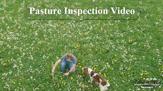 Pasture Inspection Video