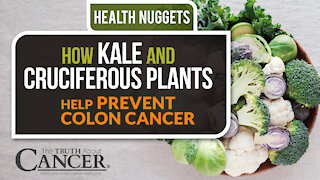 The Truth About Cancer: Health Nugget 28 - How Kale & Cruciferous Plants Help Prevent Colon Cancer