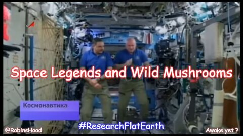 Space Legends and Wild Mushrooms