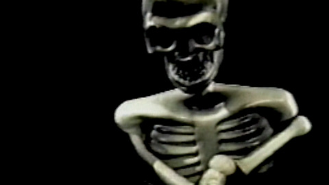 Amazing Video Of A Skeleton Dancing Macarena