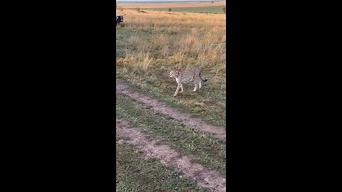 Magical Kenya