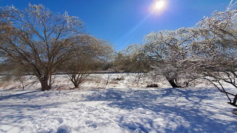 Winter Wonderland Austin Texas 02-15-2021