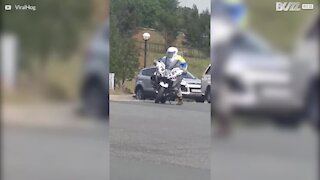 Policier en détresse