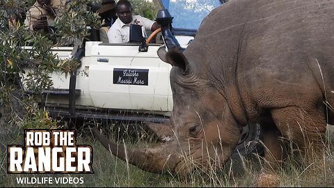 Visiting The Rhino Sanctuary | Lalashe Maasai Mara Safari