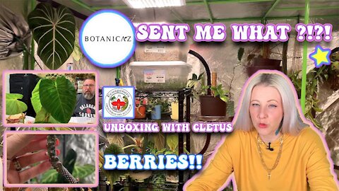 Rare Houseplant Unboxing From Botanicaz and Ecuagenera! | Plus, I Planted Some Anthurium Berries.