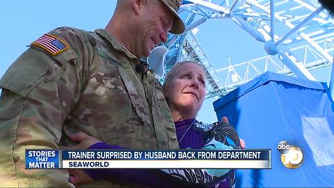 Seaworld trainer suprised by husband back from deployment