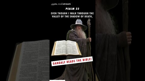 If Gandalf got saved and read the Bible! 🙌🏼😱🤯💥😝