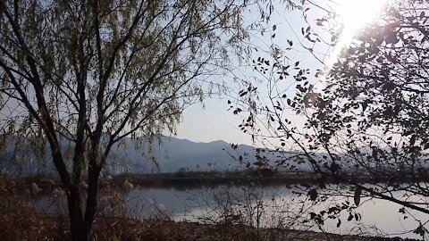 A lake located in the forest.