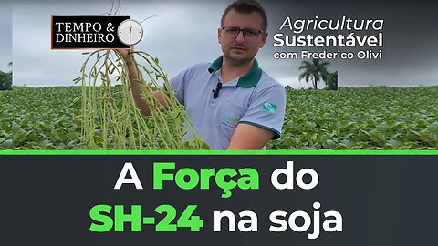 A Força do SH-24 na soja