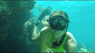 British Virgin Islands underwater experience