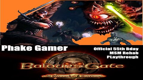 Baldur's gate MSM Rehab Ep 15a - Boareskyr Bridge