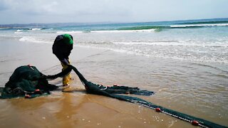 SOUTH AFRICA - Durban - Frenzy of sardine netting off Durban uShaka beach (Video) (Arg)