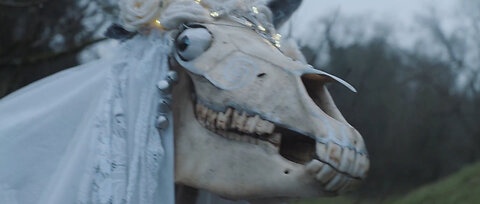 MARI LWYD (1)