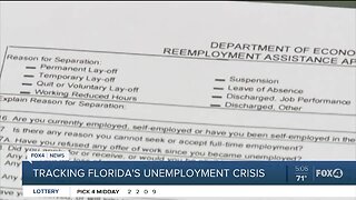 Tracking Florida's unemployment crisis