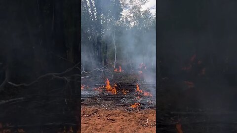 Burn it all day! #fire #burning #offgridhomestead #farming #bush #backburn