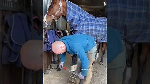 #samdracottfarrier #asmr #farrier #horses