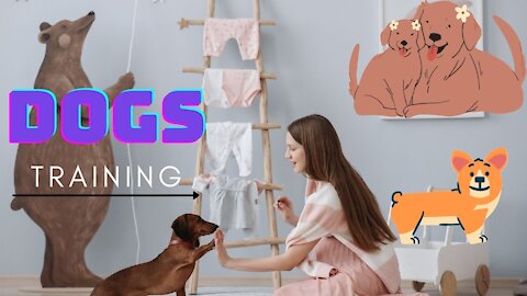 Training your dog for winners photos ! Dogs Training