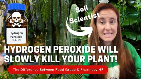 How To Use Food Grade Hydrogen Peroxide On Houseplants. Why Using Store Hydrogen Peroxide Is BAD!