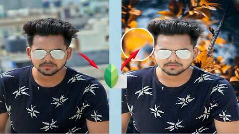 Snapseed me Baground kese Change kre|| How to change Baground in Snapseed