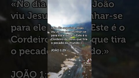 João 1:29 #canalyausha #yausha #yauh #jesus #jesuscristo #cristão #cristo #yeshua #deus