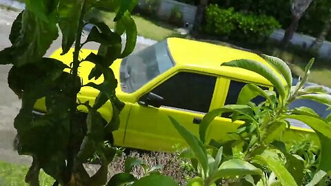 WHAT COLOR IS THIS TRUCK, YELLOW OR GREEN ?