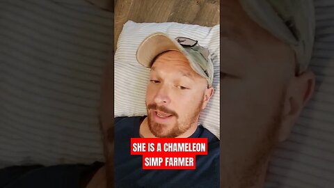 SIMP FARMING CHAMELEON #homelessveteran #usa #mensrights #america #shortsviral #females #simps #fake