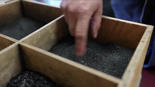 In Good Company: Biochar Now