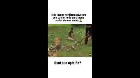 Garotos heróis