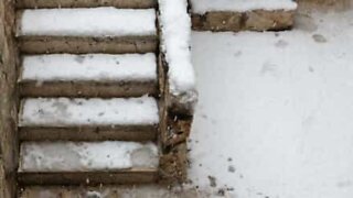 Snow and stairs are painful enemies!