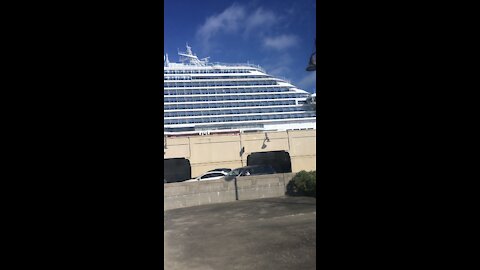 Carnival vista