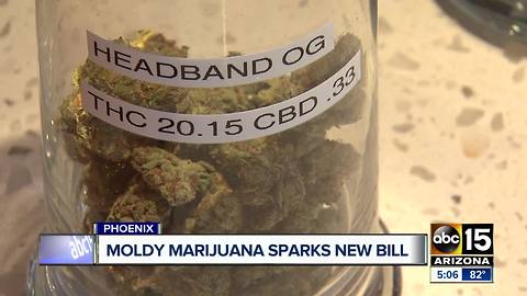 Moldy marijuana sparks new bill in Arizona legislature