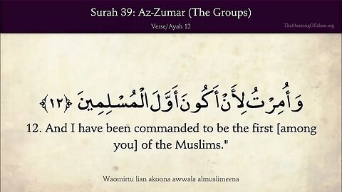 English Quran | Chapter 39 | Surah Az-Zumar ( The Crowds )