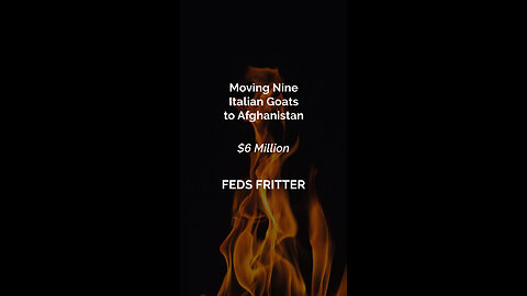 Moving 9 Italian Goats to Afghanistan (2/1/24) - Feds Fritter #04