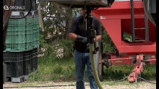 Farmers working to prevent algae blooms