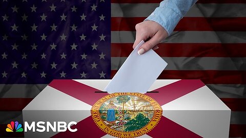 Florida is ‘absolutely’ in play for the presidential race: FL Dem Party Chair Nikki Fried