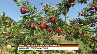 IT'S APPLE PICKING SEASON