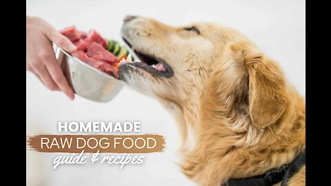 Dog food recipes #make homemade dog food very cheaper