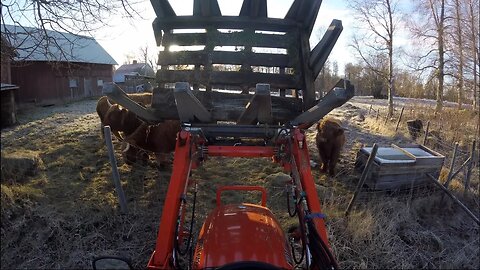 Animals & Farmers Enjoying The Beautiful Swedish Winter