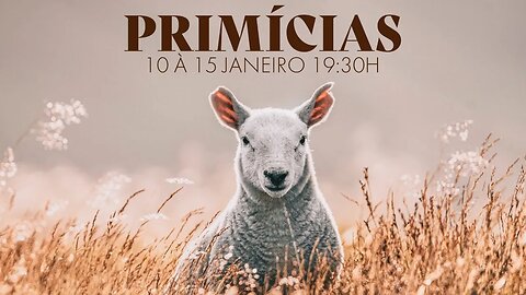 🔴IBAN🔴 PRIMÍCIAS - DIA 01