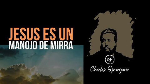 Jesús es un manojo de mirra (Cantares 1:13) Devocional de hoy Charles Spurgeon